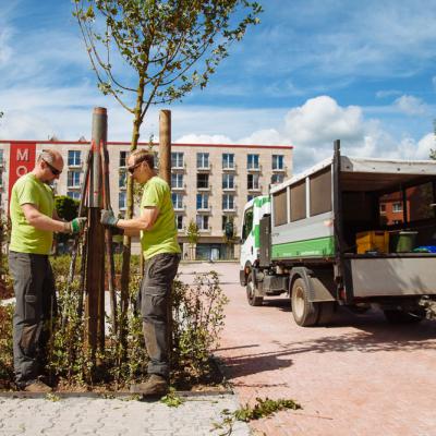 Baumpflanzung Lastrada Hotelwelt - Kassel - 2 Arbeiter