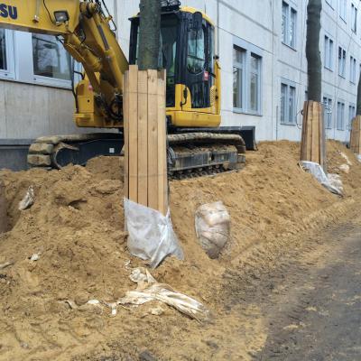 Stammschutz auf Baustellen